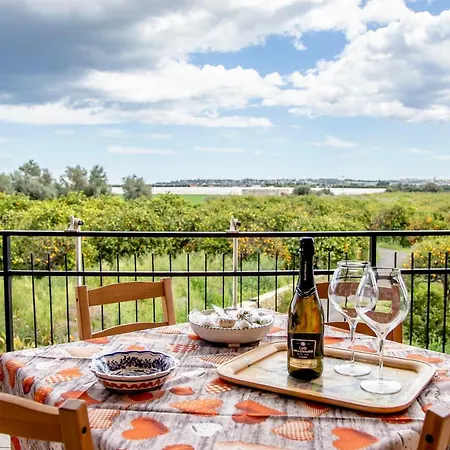 شقة Casa Abela New *